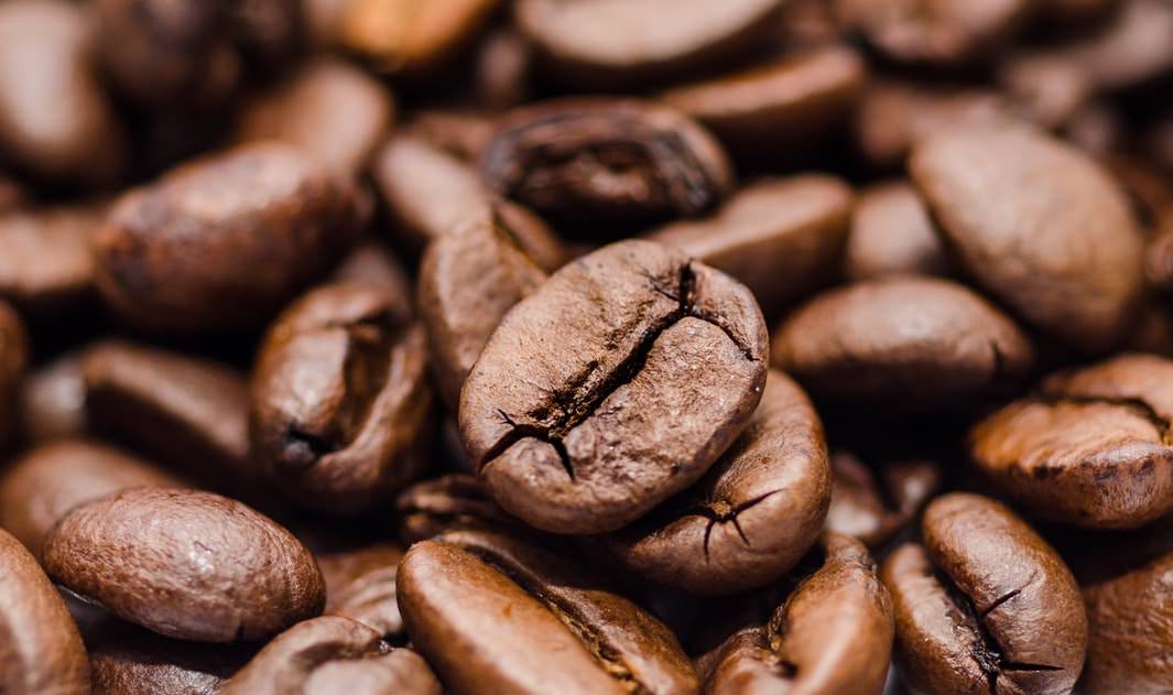 有機のコーヒー豆